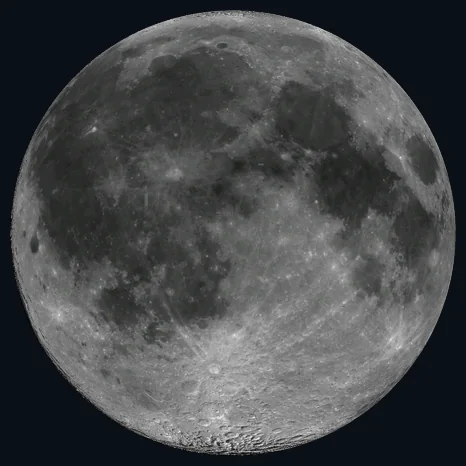 Lunaria showing tonight's Moon
