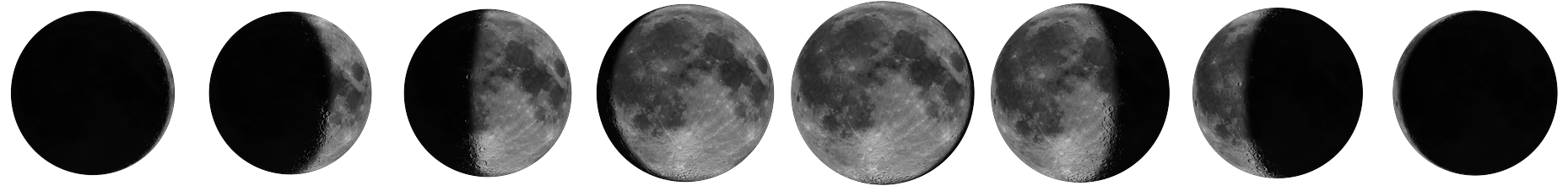 One full lunation — eight phases from new to full to new, all device-rendered